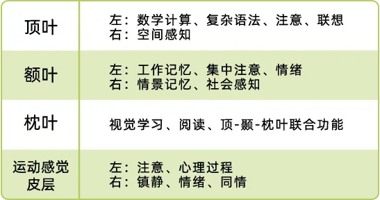 166270680879019678.webp 资源 5.webp